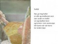 /album/nyfiftyfifty/suldal-jpg1/