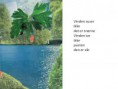 /album/nyfiftyfifty/vinden-jpg1/