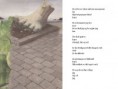 /album/nyfiftyfifty/hvorfor-jpg1/