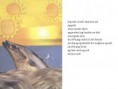 /album/nyfiftyfifty/spaniassol-jpg/