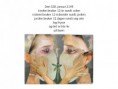 /album/laben/a328januar-jpg/