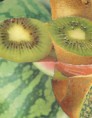 /album/billedgalleri/kiwi-jpg/