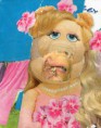 /album/billedgalleri/piggy-jpg/
